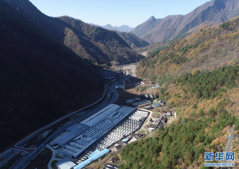 陕西宁陕：香菇产业助力乡村振兴