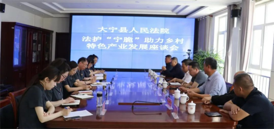 大宁县人民法院召开“法护‘宁脆' 助力乡村特色产业发展”座谈会